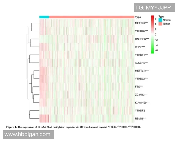 esports最新数据热议DOTA2RNG速度变革背后的策略与影响分析